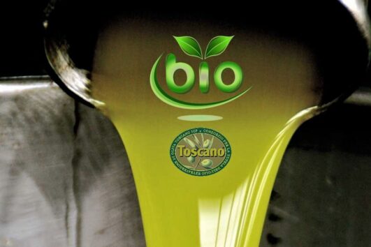 Оливковое масло – зелёное золото Тосканы. Гид Ирина Лихота